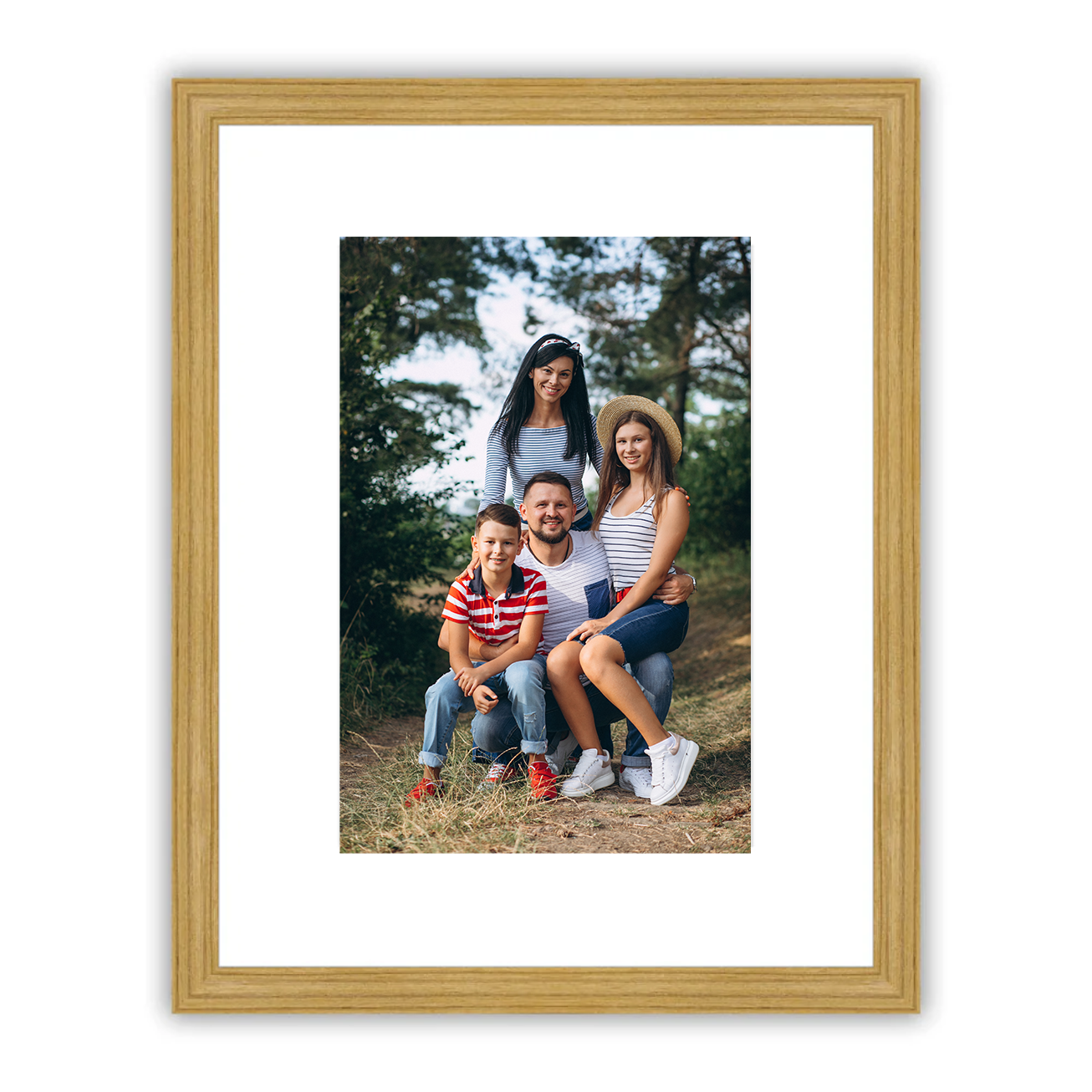 Venicef Frame